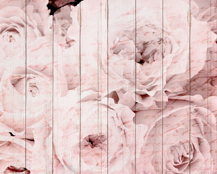 Picture of IN THE ROSES 1