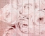 Picture of IN THE ROSES 2