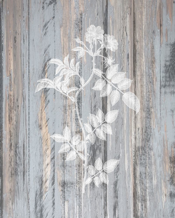 Picture of BOTANICAL WOOD 1