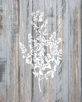 Picture of BOTANICAL WOOD 2