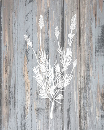 Picture of BOTANICAL WOOD 3