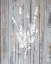 Picture of BOTANICAL WOOD 3