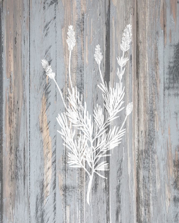 Picture of BOTANICAL WOOD 3