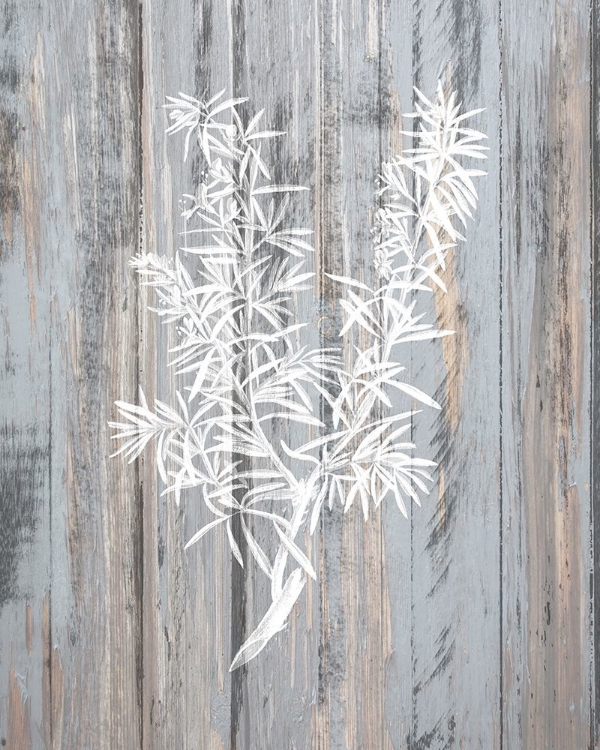 Picture of BOTANICAL WOOD 4