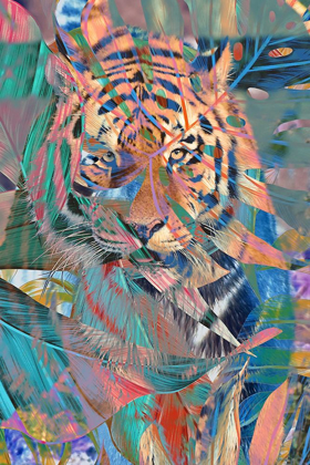 Picture of COLORFUL TIGER