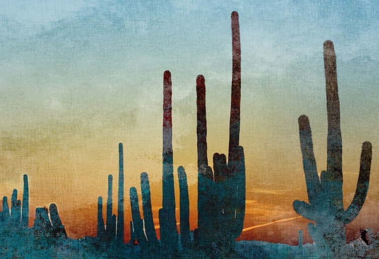 Picture of SAGUARO CACTUS