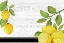 Picture of FRESH LEMONS 7