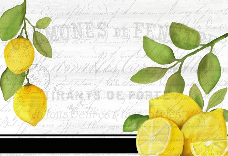 Picture of FRESH LEMONS 7