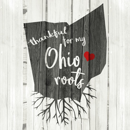 Picture of OH ROOTS