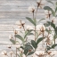 Picture of COTTON DAYS