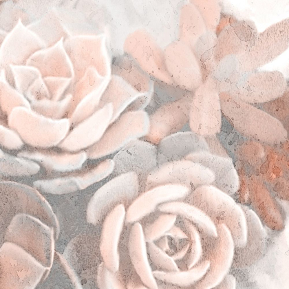 Picture of DUSTY PINK SUCCULENTS 1