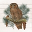 Picture of OWL 2