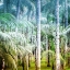Picture of PALM TREE FOREST 1