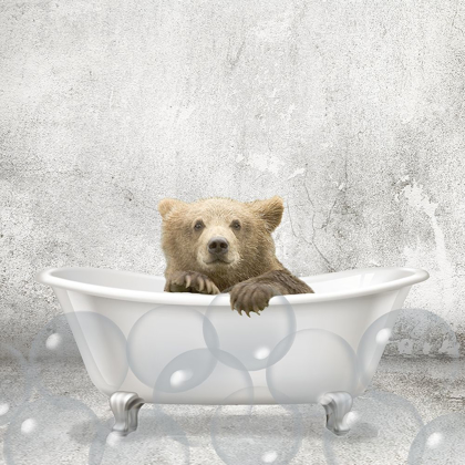 Picture of BABY BEAR BATH