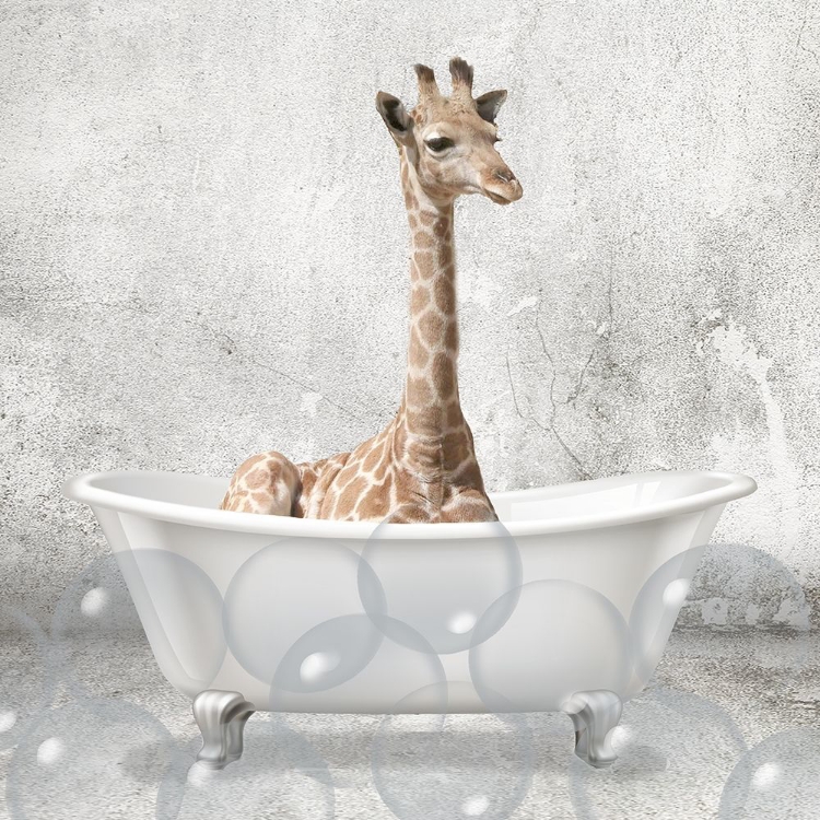 Picture of BABY GIRAFFE BATH