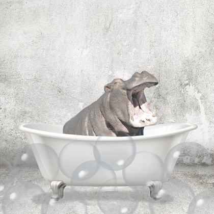 Picture of BABY HIPPO BATH
