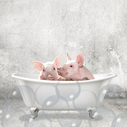 Picture of BABY PIGLETS BATH