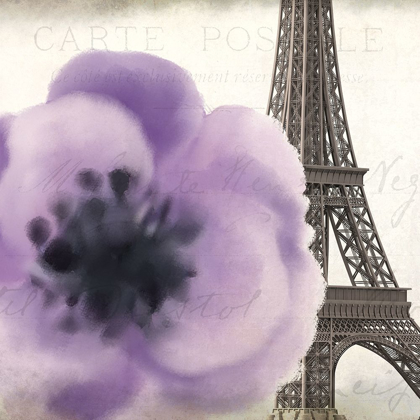 Picture of PURPLE PARIS 1