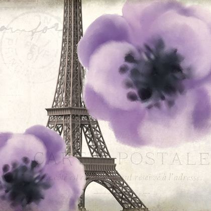 Picture of PURPLE PARIS 2