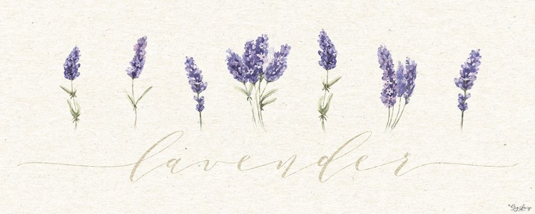 Picture of LAVENDER