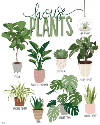 Picture of HOUSE PLANTS