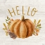 Picture of HELLO PUMPKIN