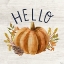 Picture of HELLO PUMPKIN HELLO