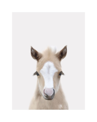Picture of BABY HORSE 1
