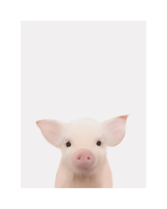 Picture of PIGLET GRAY