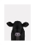 Picture of CUTE CALF 1