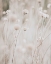 Picture of WHITE DRIED WILDFLOWERS