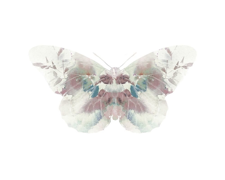 Picture of BUTTERFLY 2