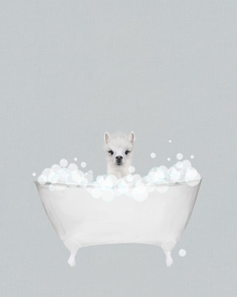 Picture of ALPACA BLUE BATH