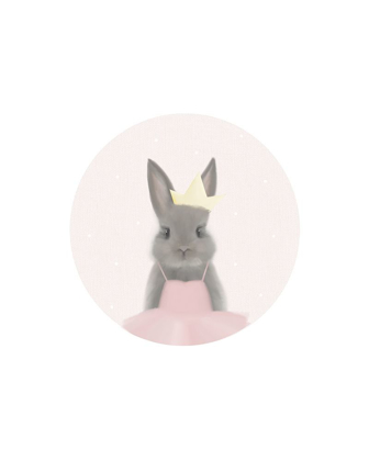 Picture of CIRCLE BUNNY PRINCESS BALLERINA