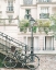 Picture of BICYLCE IN PARIS