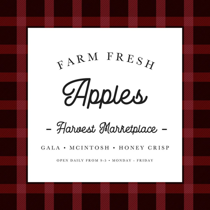Picture of RED FARM FRESH APPLES