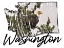 Picture of WASHINGTON PRIDE