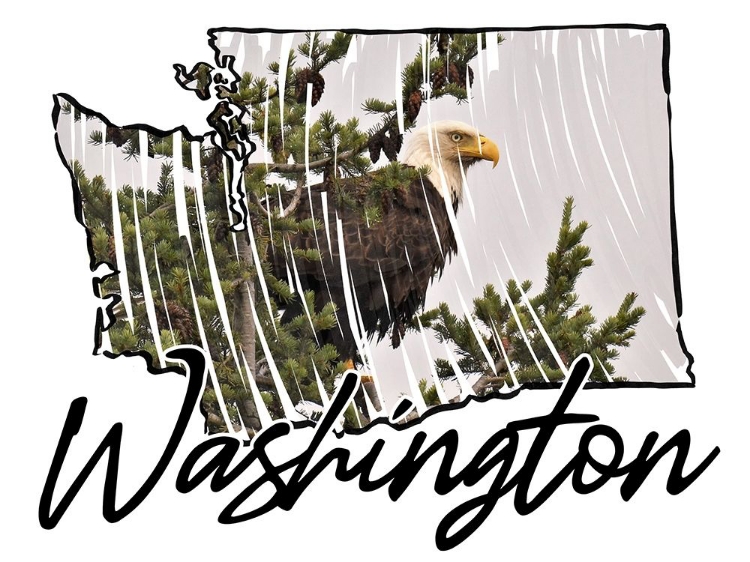 Picture of WASHINGTON PRIDE