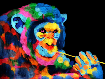 Picture of MONKEY COLOR BURST 1