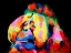 Picture of MONKEY COLOR BURST 2