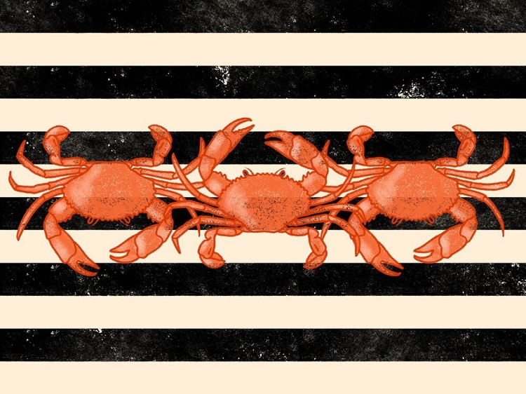 Picture of CRAB DANCE