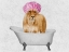 Picture of BATHING LIONESS 1