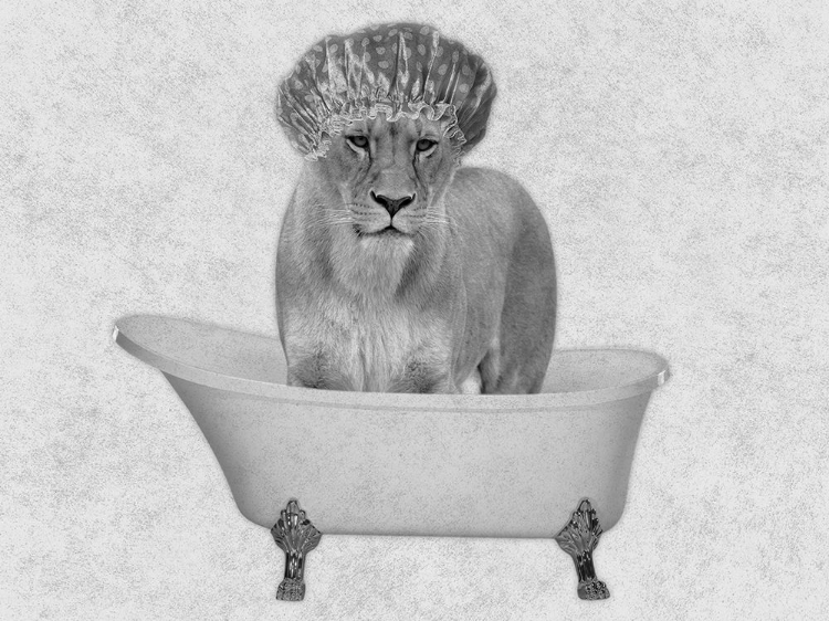 Picture of BATHING LIONESS 2