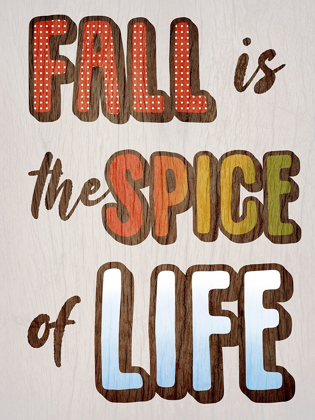 Picture of SPICE OF LIFE