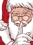 Picture of SANTAS SECRET