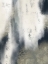 Picture of SYSTEMATIC OBLITERATION 1