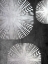 Picture of METALLIC STAR SHINE 2