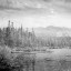 Picture of VINTAGE WONDERS 1