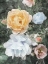 Picture of RESTED FLORALS