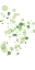 Picture of TURTLE SPOTS